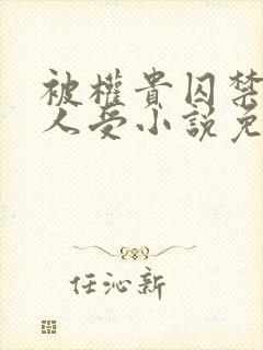 被权贵囚禁的美人受小说免费阅读下