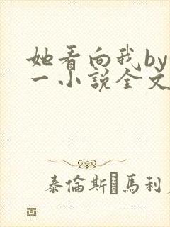 她看向我by徐一小说全文免费阅读