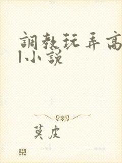 调教玩弄高潮gl小说封面