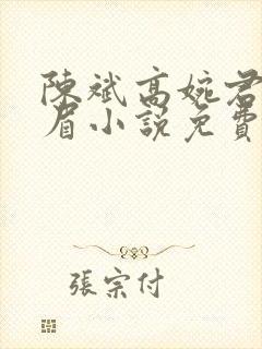 陈斌高婉君赵心眉小说免费阅读封面