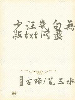 少汪几句无删减版txt网盘封面