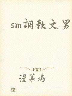 sm调教文男男