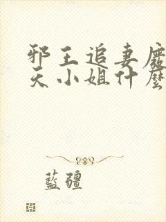 邪王追妻废材逆天小姐什么时候写的