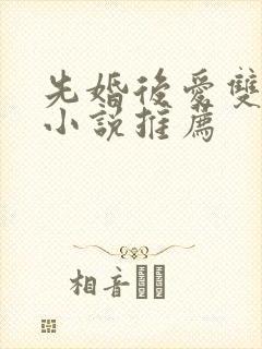 先婚后爱双男主小说推荐