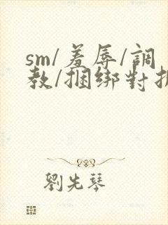 sm/羞辱/调教/捆绑对折