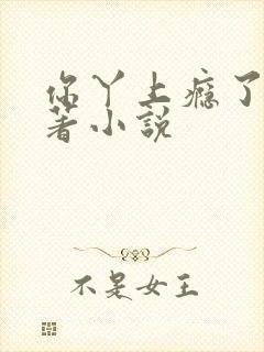 你丫上瘾了有原著小说