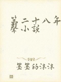 第二十八年春有声小说