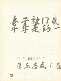 妻子被17岁少年夺走的一小说