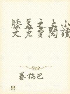 膝盖之上小说全文免费阅读封面