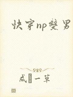 快穿np双男主