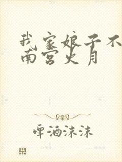 我家娘子不对劲南宫火月封面