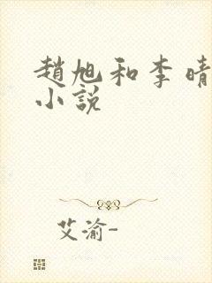 赵旭和李晴晴的小说