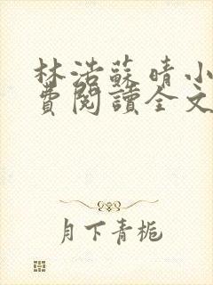 林浩苏晴小说免费阅读全文最新章节