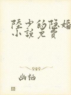 陆少的隐婚罪妻小说免费