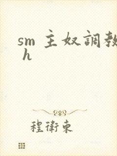 sm 主奴调教 h封面