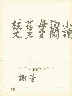 校花母狗小说全文免费阅读笔趣阁
