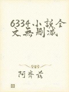 6334小说全文无删减