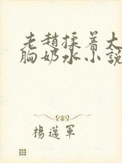 老赵揉着大雪的胸奶水小说