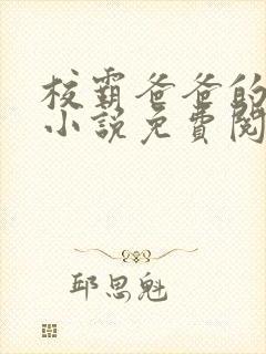 校霸爸爸的秘密小说免费阅读