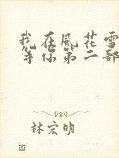我在风花雪月里等你第二部