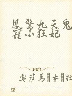 凤惊九天鬼帝溺宠小狂妃