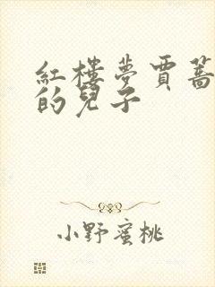 红楼梦贾蔷是谁的儿子