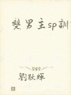 双男主sp训诫