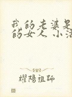 我的老婆是兄弟的女人 小涛 小说