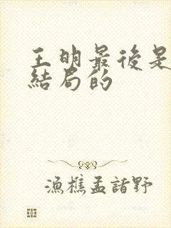 王明最后是什么结局的封面