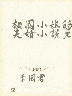 相国小姐的冒牌夫婿小说免费阅读