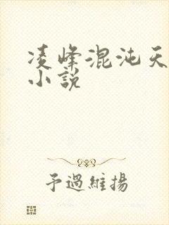 凌峰混沌天帝诀小说