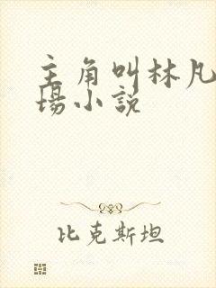 主角叫林凡的官场小说