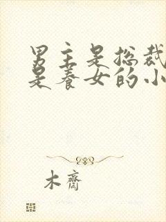 男主是总裁女主是养女的小说