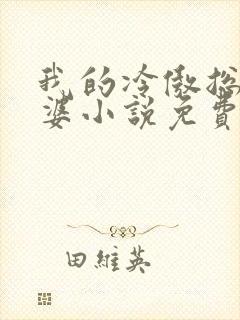 我的冷傲总裁老婆小说免费阅读