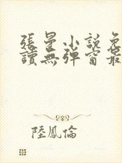 张曼小说免费阅读无弹窗最新章节