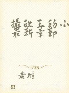 摄政王的小闲妻最新章节