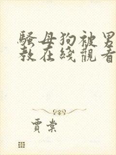 骚母狗被男人调教在线观看