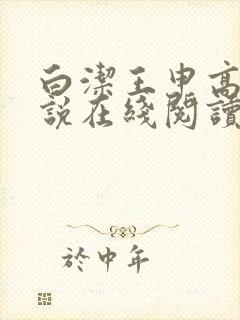 白洁王申高义小说在线阅读封面