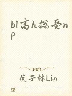 bl高h总受np