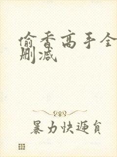 偷香高手全文无删减封面