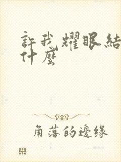 许我耀眼结局是什么