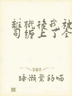 离职后我被前上司缠上了全文免费阅读