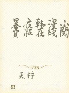 暴夜韩漫小说免费版在线阅读全文