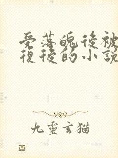 受落魄后被攻报复后的小说