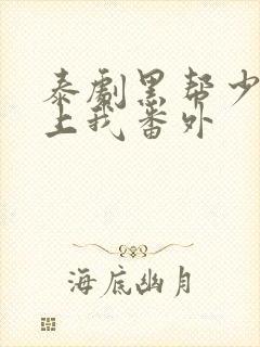 泰剧黑帮少爷爱上我番外