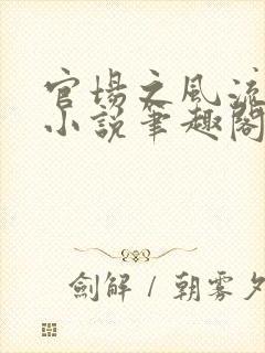 官场之风流人生小说笔趣阁