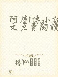 阿庆l传小说全文免费阅读txt封面