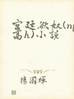 宫廷欲奴(np高h)小说