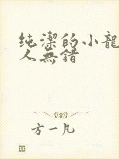 纯洁的小龙捞尸人无错