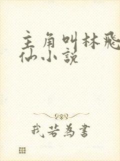 主角叫林飞的修仙小说